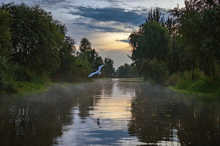 Xochimilco Sunrise from Mexico - Photo 1 of 9