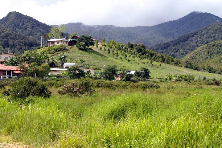 Bario Highlands