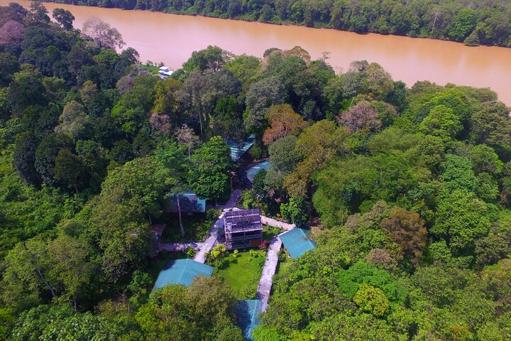 3D2N Sukau Wildlife Experience - Photo 1 of 18