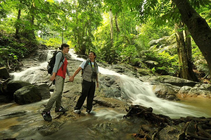 Forest Research Institute Malaysia (FRIM)