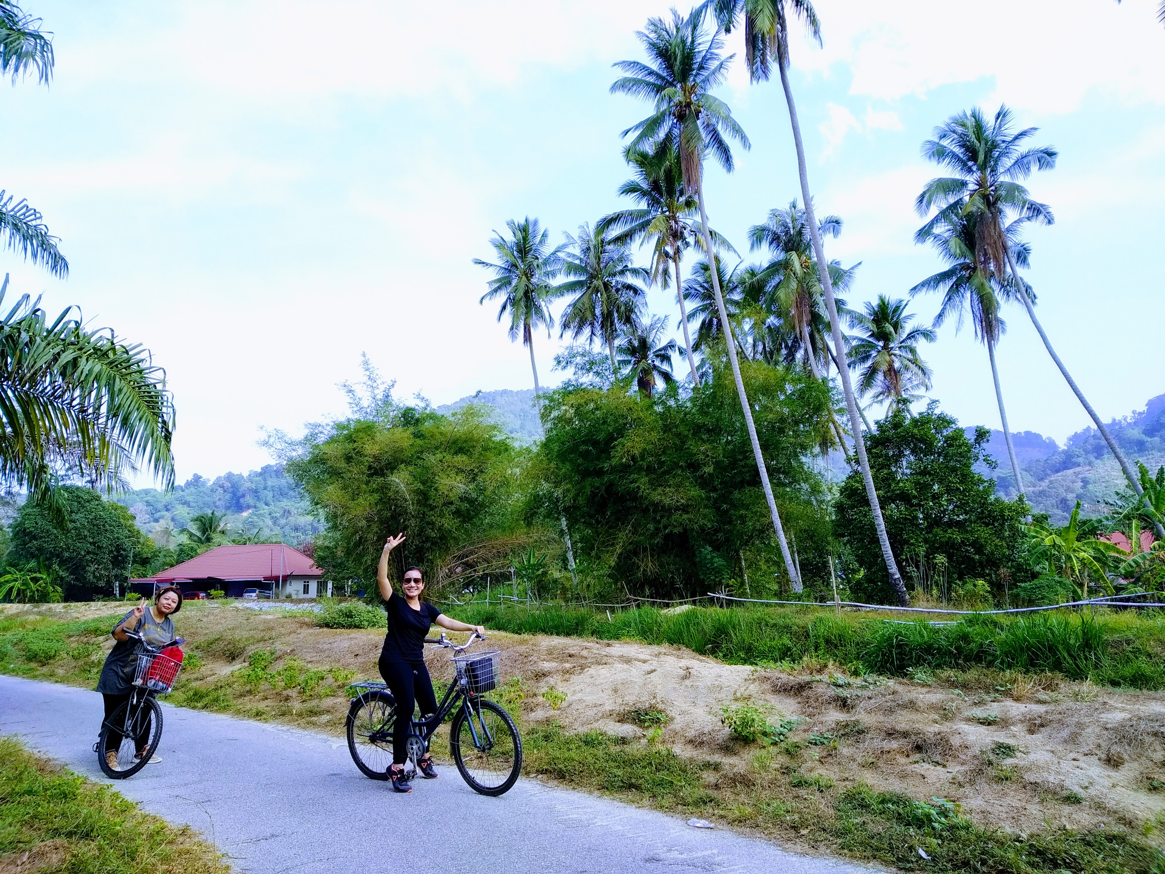 Pedal through Balik Pulau's serene landscapes past swaying palms and lush fields discovering hidden gems of rural life on this delightful cycling adventure in Penang.