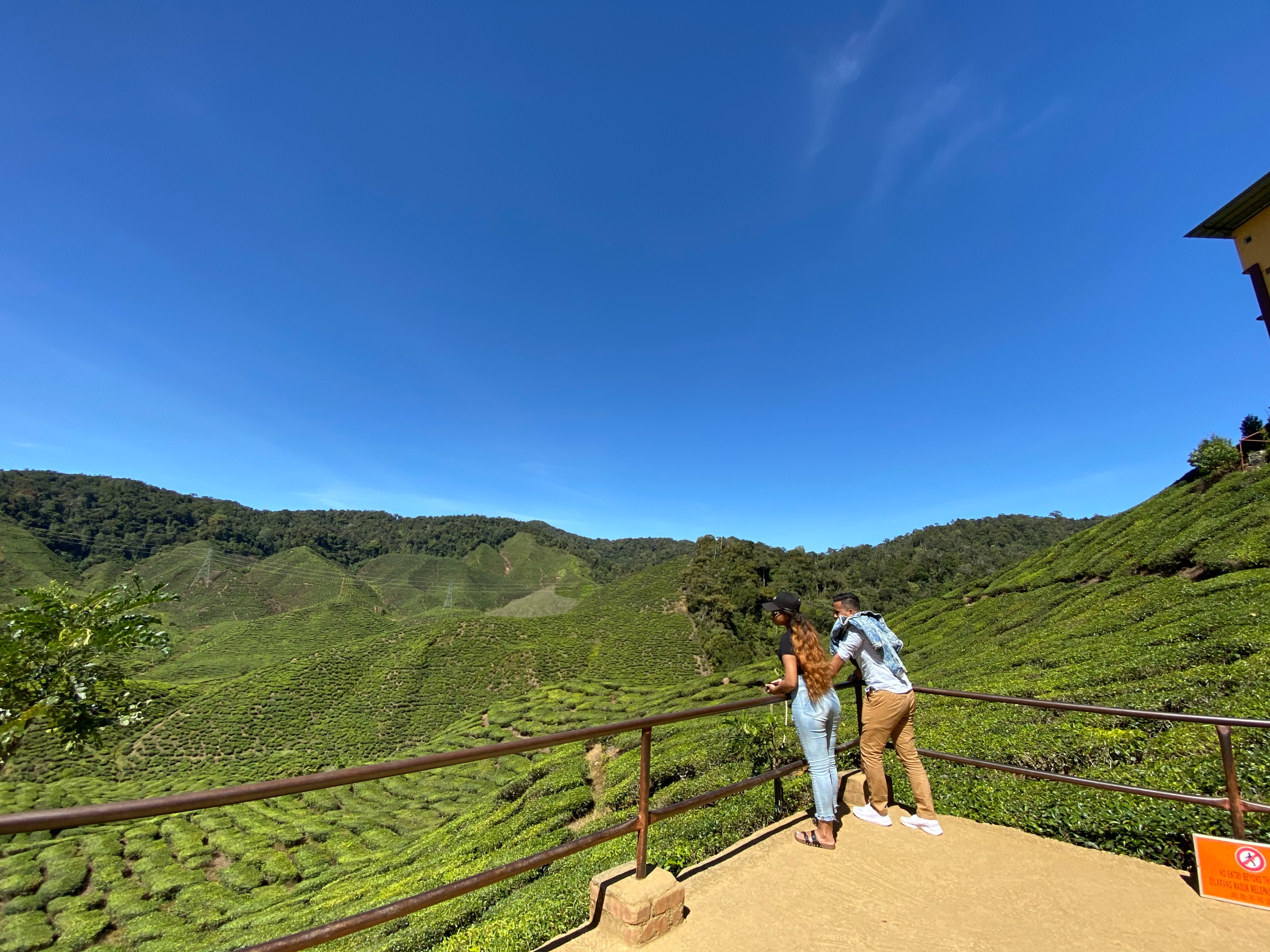 Cameron Highlands Day Tour - Photo 1 of 10