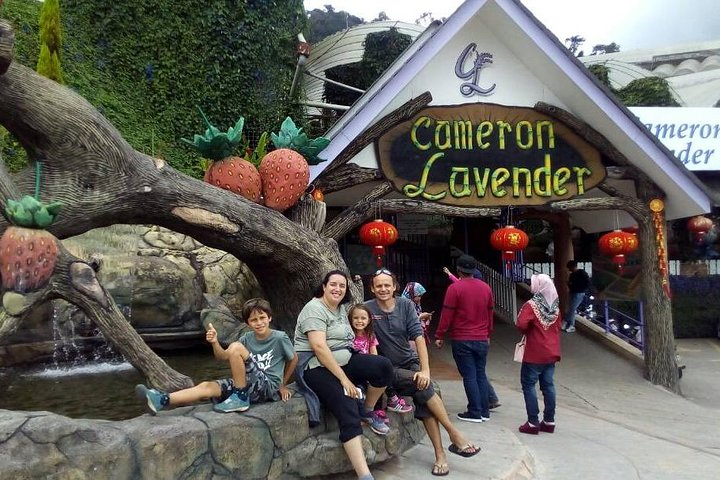 Cameron Highlands Jim's Vegetable Farm - Photo 1 of 15