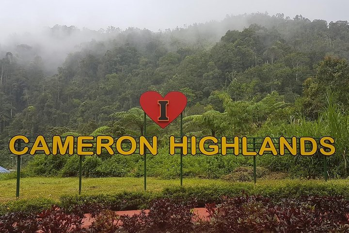 Cameron Highlands