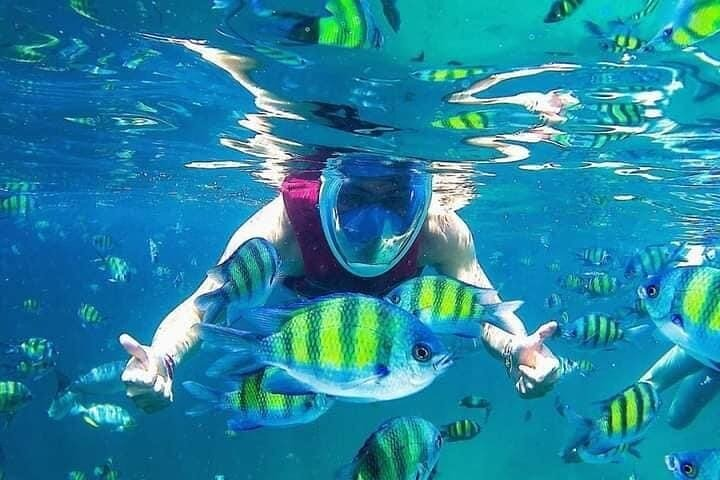 Dive into crystal-clear waters surrounded by colorful fish explore hidden treasures beneath the surface and enjoy a day of snorkeling and adventure in Langkawi's stunning marine landscape.