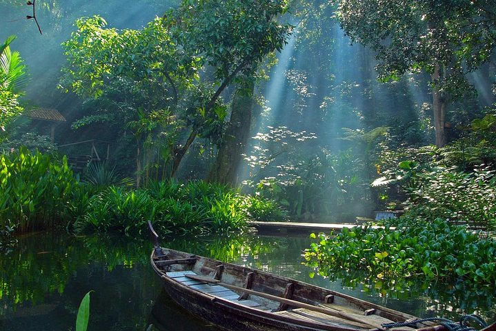 Tropical Spice Garden