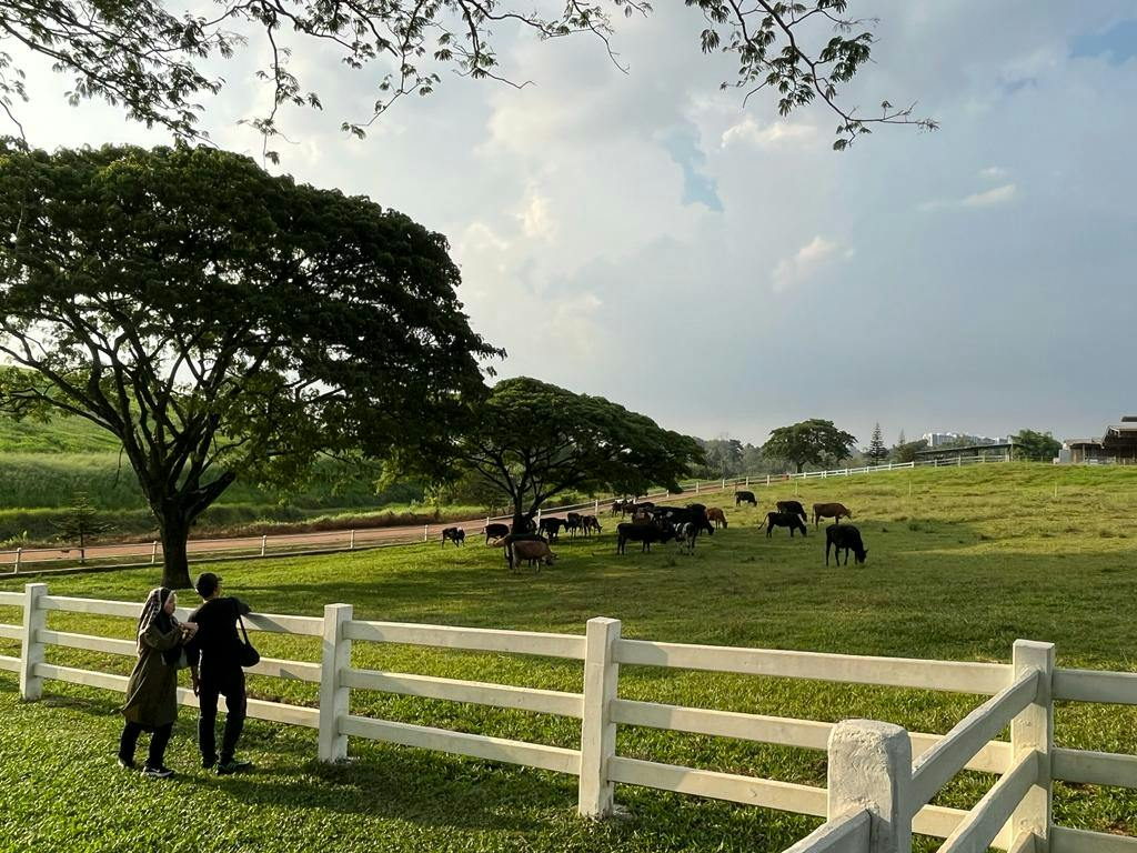 UPM Farm, Seri Kembangan Selangor: Entry Ticket for Non-Malaysians - Photo 1 of 4