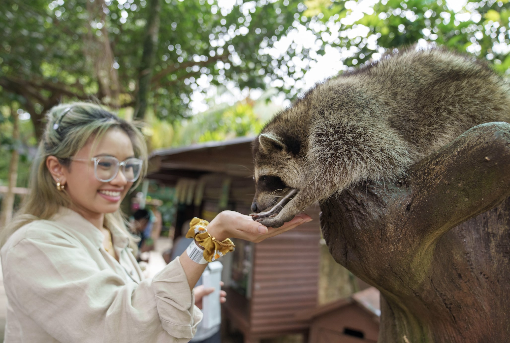 Interact with friendly animals in a natural setting at Farm in the City. Experience the charm of a Malaysian kampung surrounded by lush greenery and diverse wildlife.