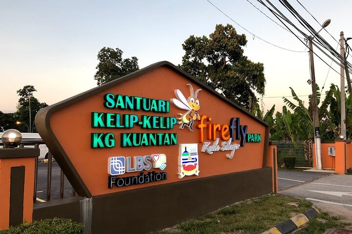 Fireflies and Hots Spring Nature Tour by KLASH - Photo 1 of 16