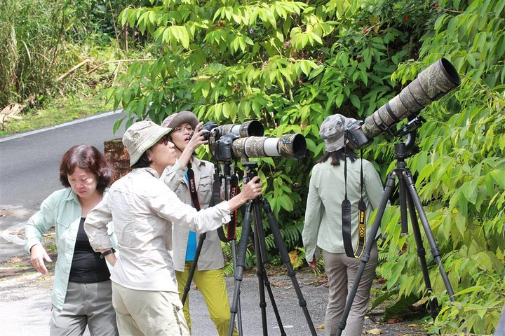 Fraser's Hill Bird-Watching & Nature Sightseeing Tour from Kuala Lumpur - Photo 1 of 24