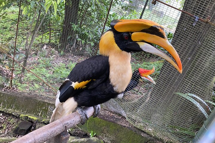 Garden & Park Half Day Tour (SIC Tour – Shared/Join In Tour) - Photo 1 of 10