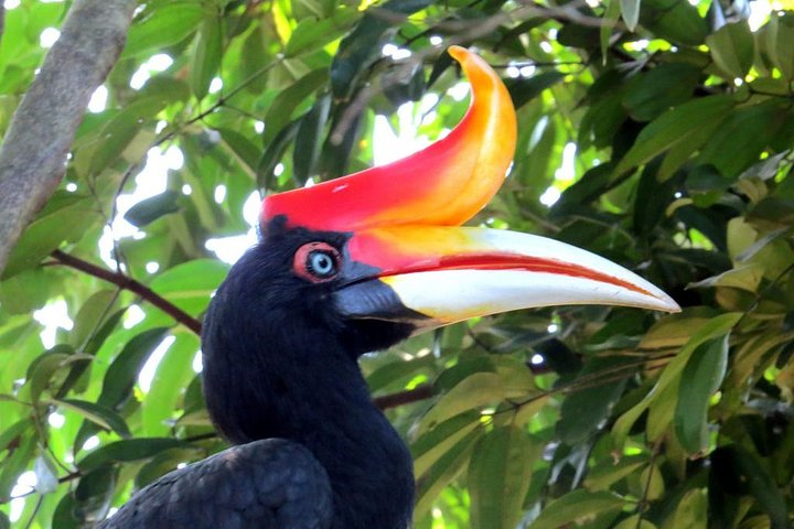 Garden & Parks Tour From Kuala Lumpur - Photo 1 of 7