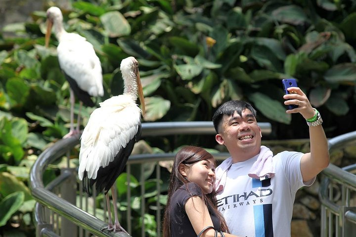 Capture playful moments alongside exotic birds in the lush surroundings of Kuala Lumpur's Bird Park where nature and wildlife create the perfect backdrop for unforgettable memories.
