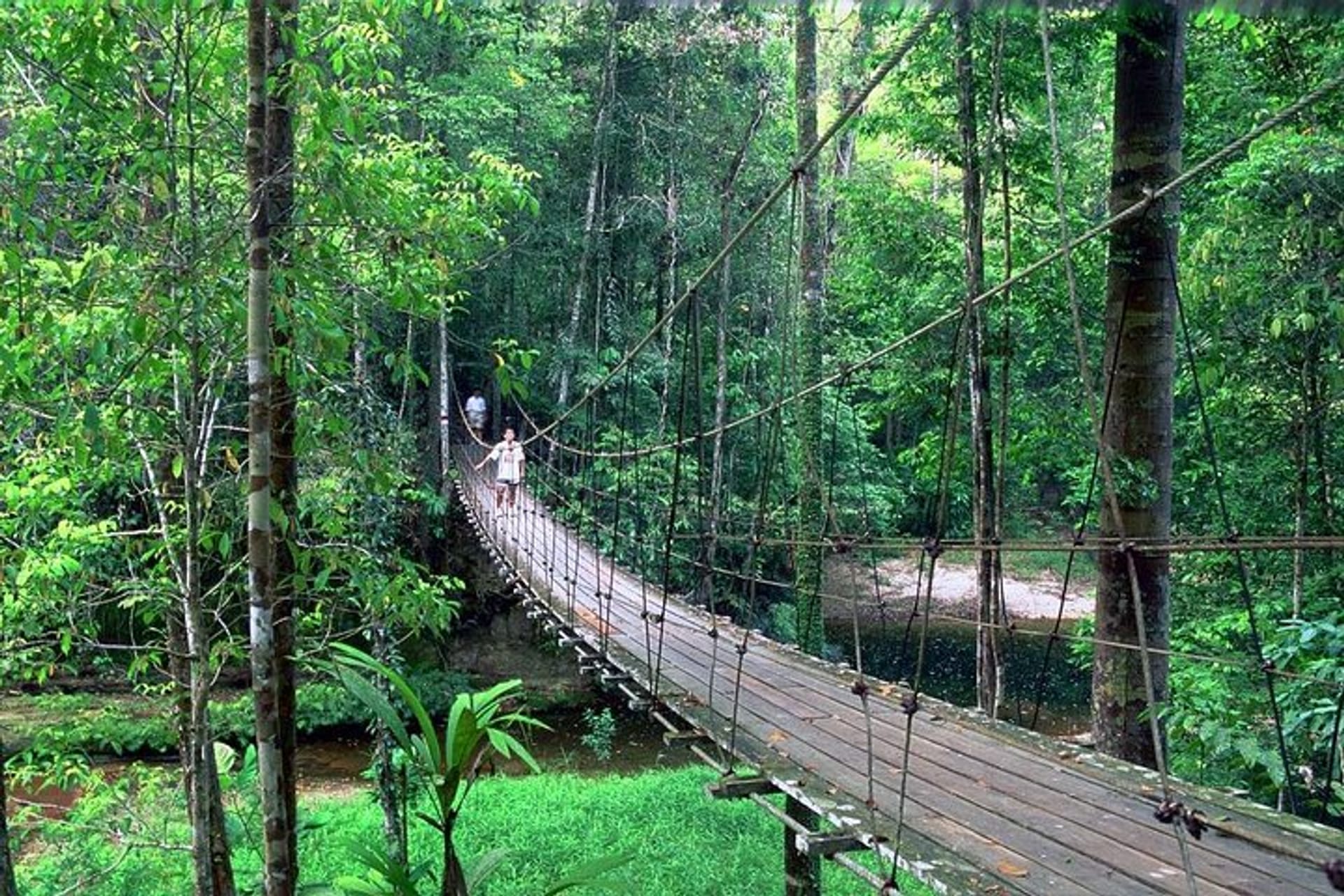 Lambir Hills National Park