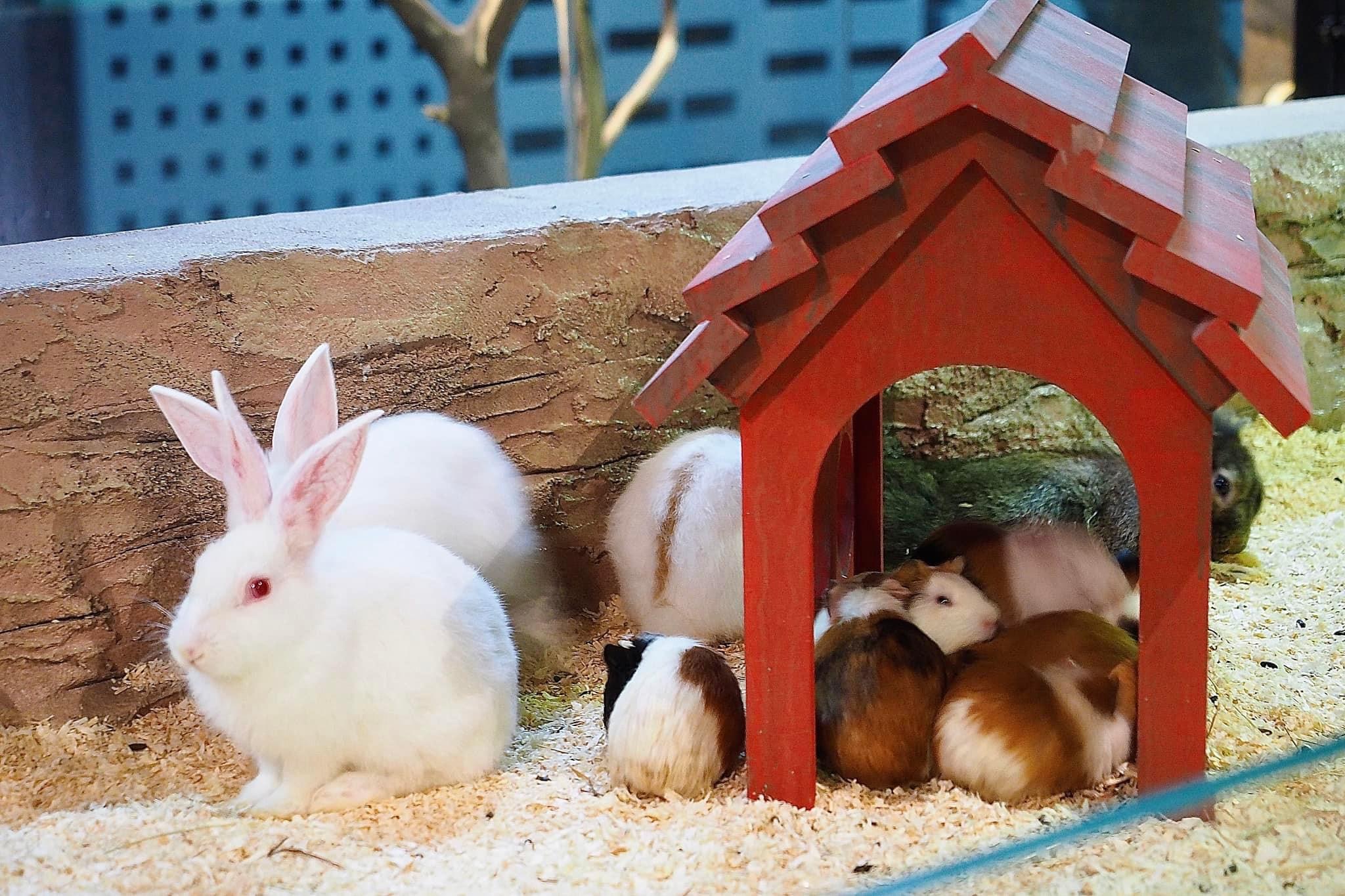 IOI City Farm Tickets at IOI City Mall Putrajaya in Kuala Lumpur