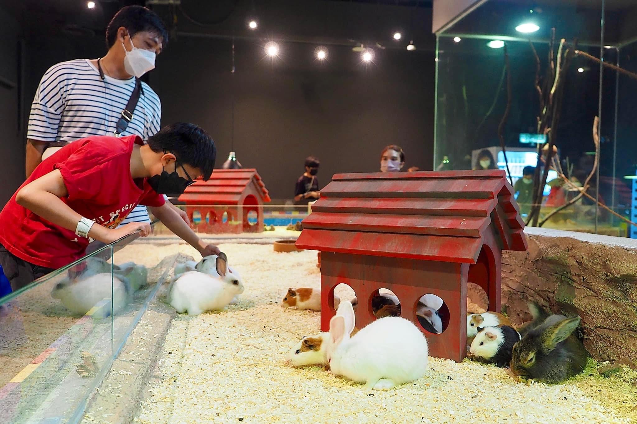 IOI City Farm Tickets at IOI City Mall Putrajaya in Kuala Lumpur