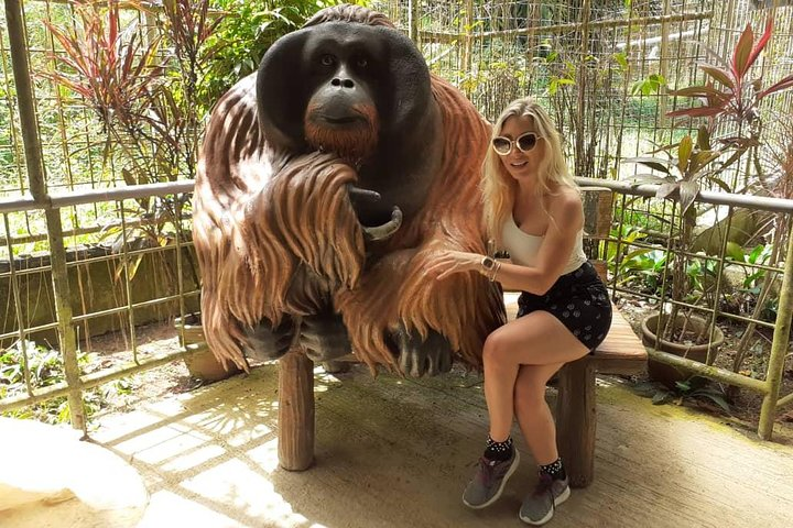 Experience the charm of Orang Utan Island and the historical allure of Ipoh where unique colonial architecture meets vibrant mural art creating unforgettable memories on your journey.