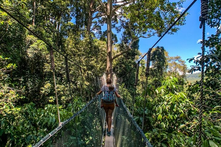 Kinabalu Park Tour with Desa Dairy Farm & Poring Hot Springs - Photo 1 of 21