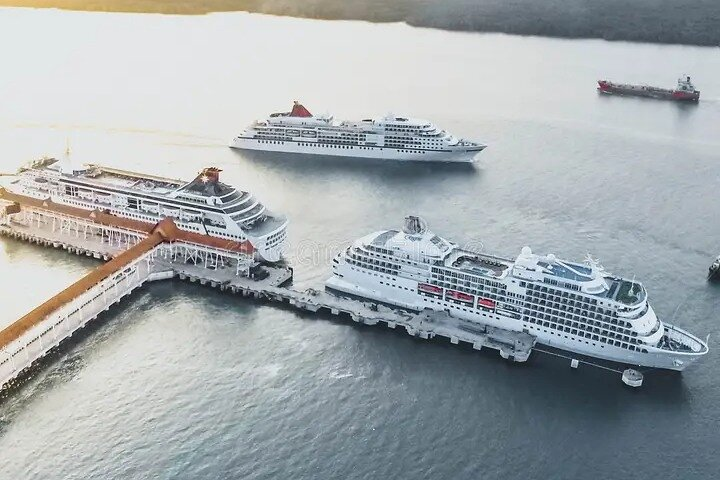 Private Shore Excursion from Klang Port to KL city tour - Photo 1 of 22