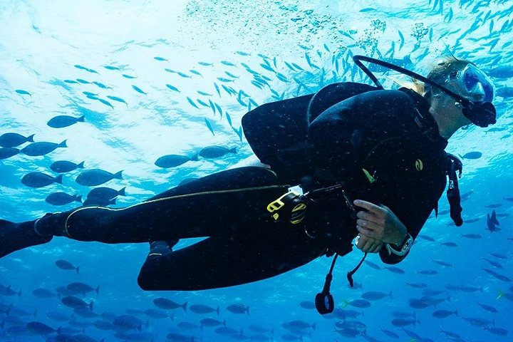 Tunku Abdul Rahman Marine Park Leisure Diving from Kota Kinabalu - Photo 1 of 9