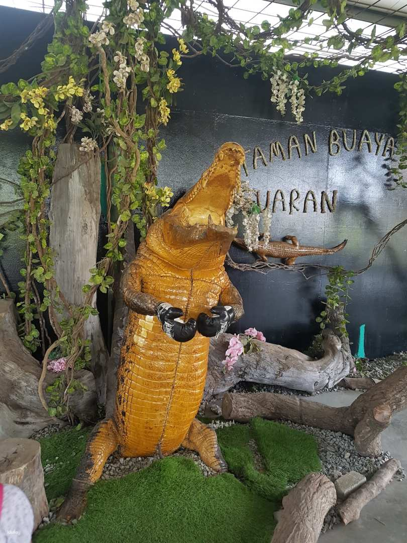 Kota Kinabalu Kids' Favorite Crocodile Farm Tour (licensed guide, animal feeding experience) - Photo 1 of 8