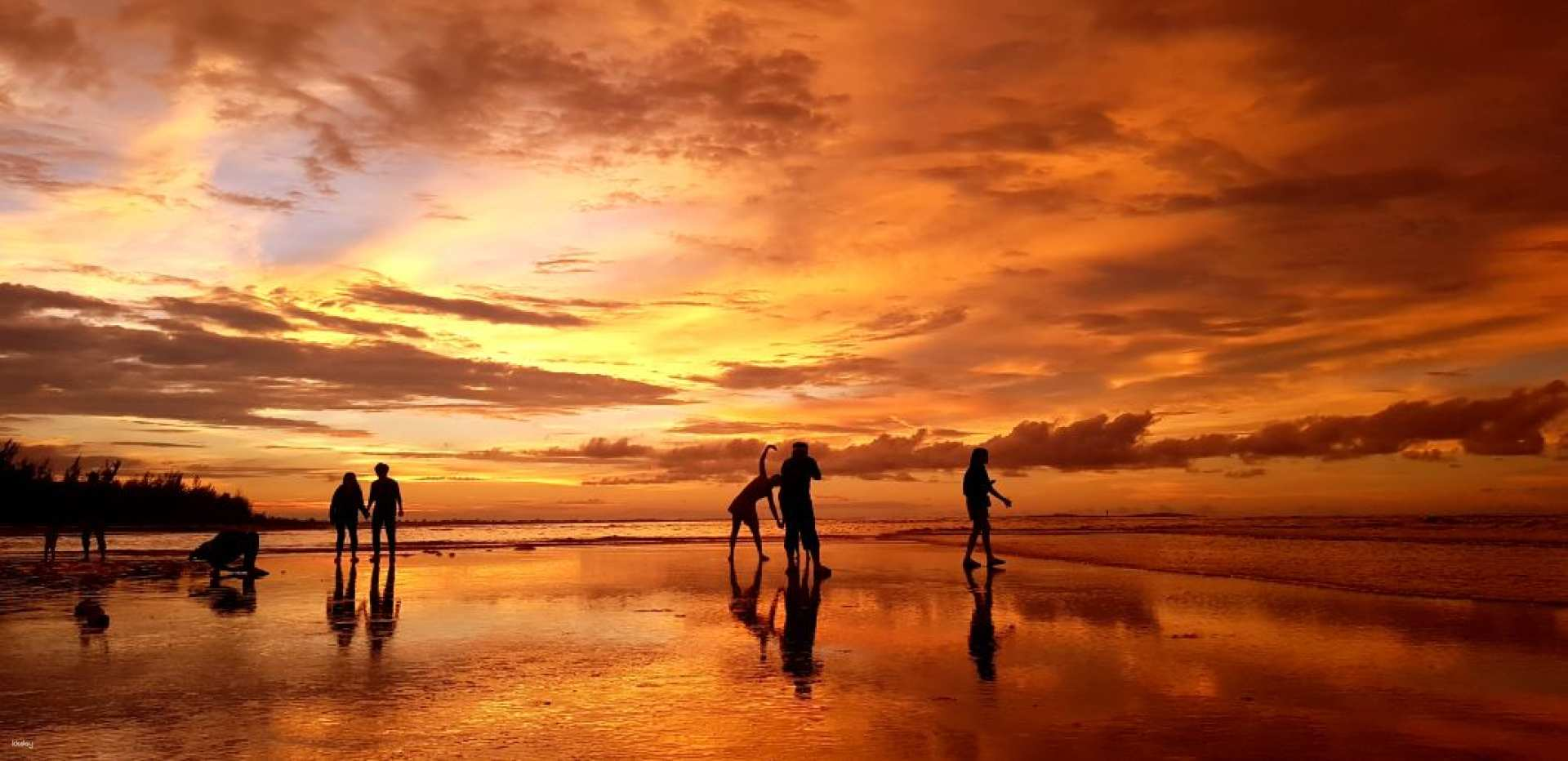 Kota Kinabalu Tuai Firefly Tour - Photo 1 of 7