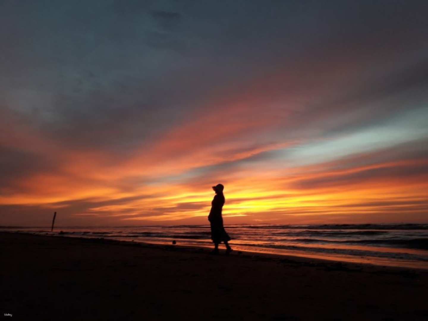 Kota Kinabalu Dongmak-gol Surbang Firefly Tour - Photo 1 of 6