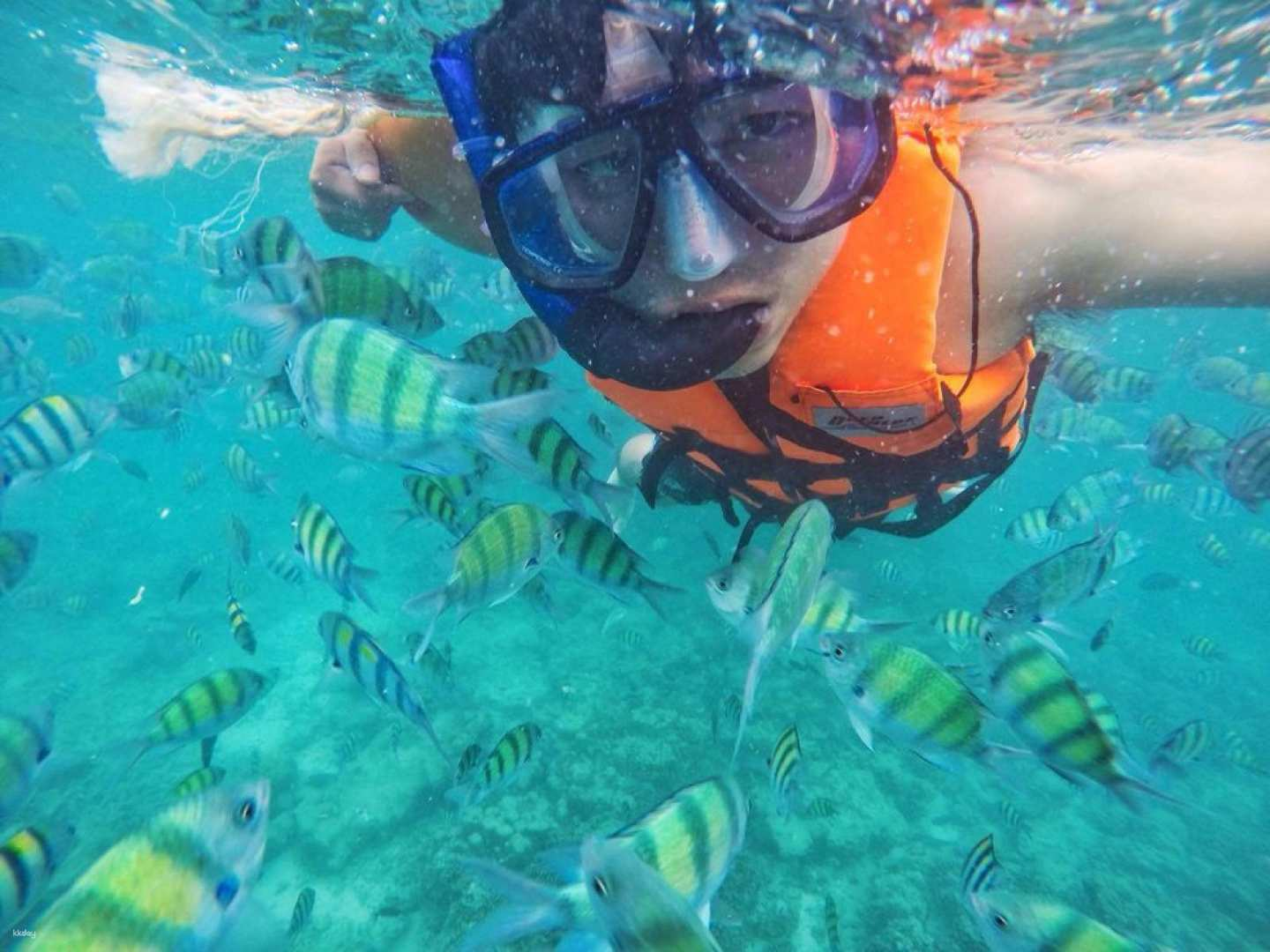 Kota Kinabalu Gaya Island Marine Sports Tour - Photo 1 of 8