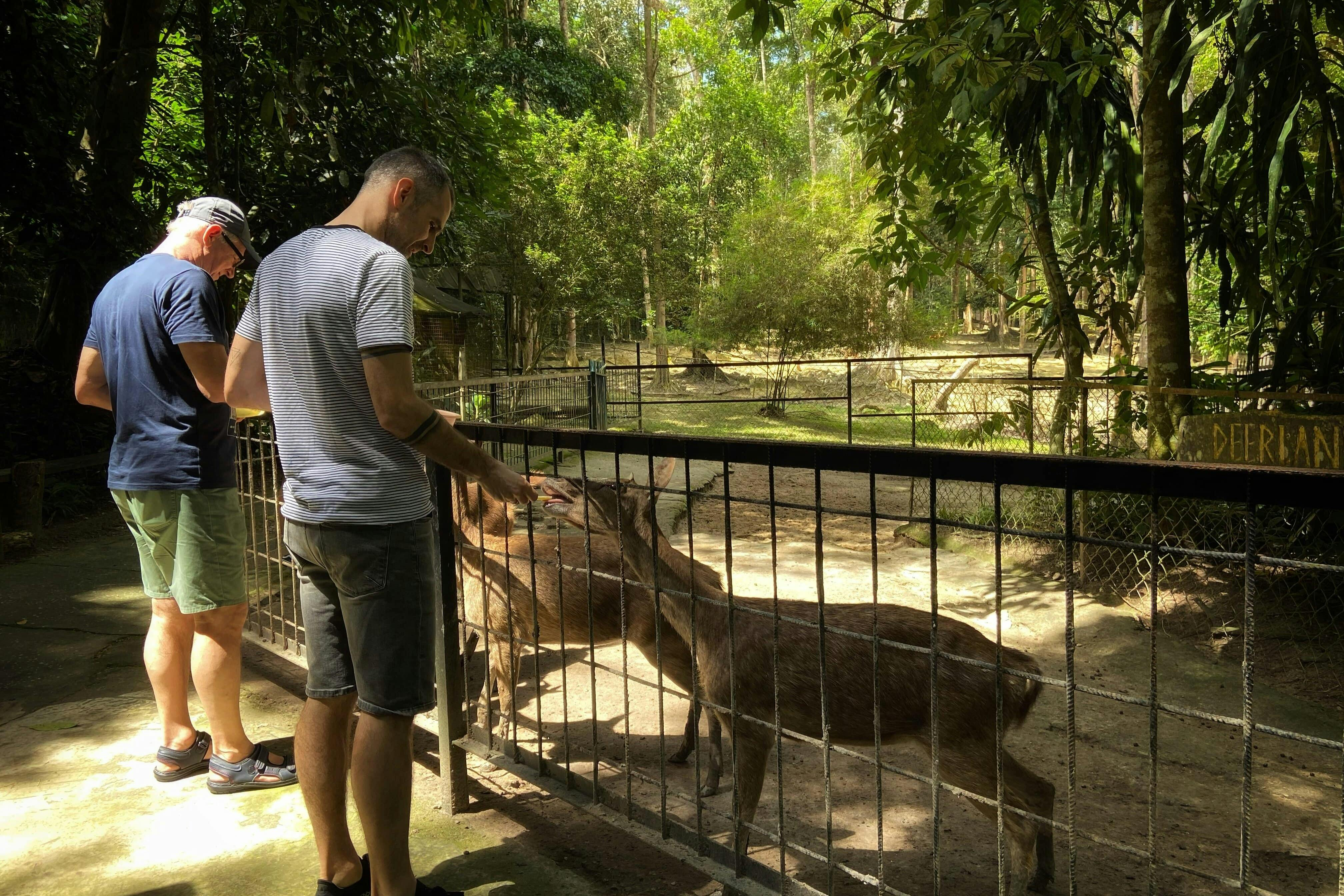 Kuala Gandah Elephant Sanctuary: Lunch + Transfers - Photo 1 of 4