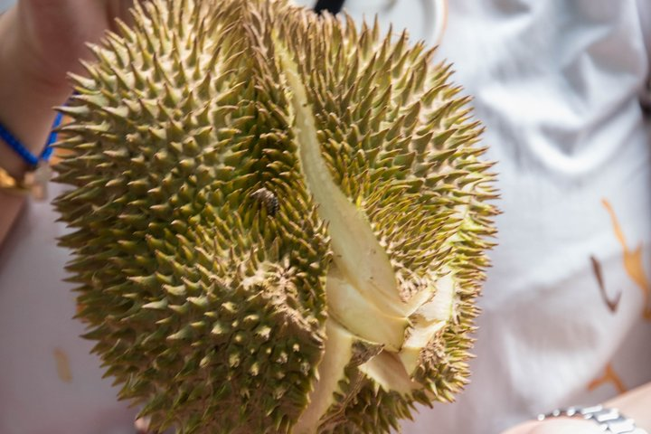 Kuala Lumpur Food Tour Through Chow Kit - Photo 1 of 25