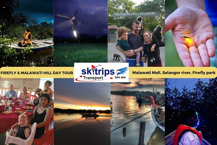 Kuala Selangor Fireflies - Batu Caves Temple- Malawati Hill DayTour With Dinner  - Photo 1 of 13