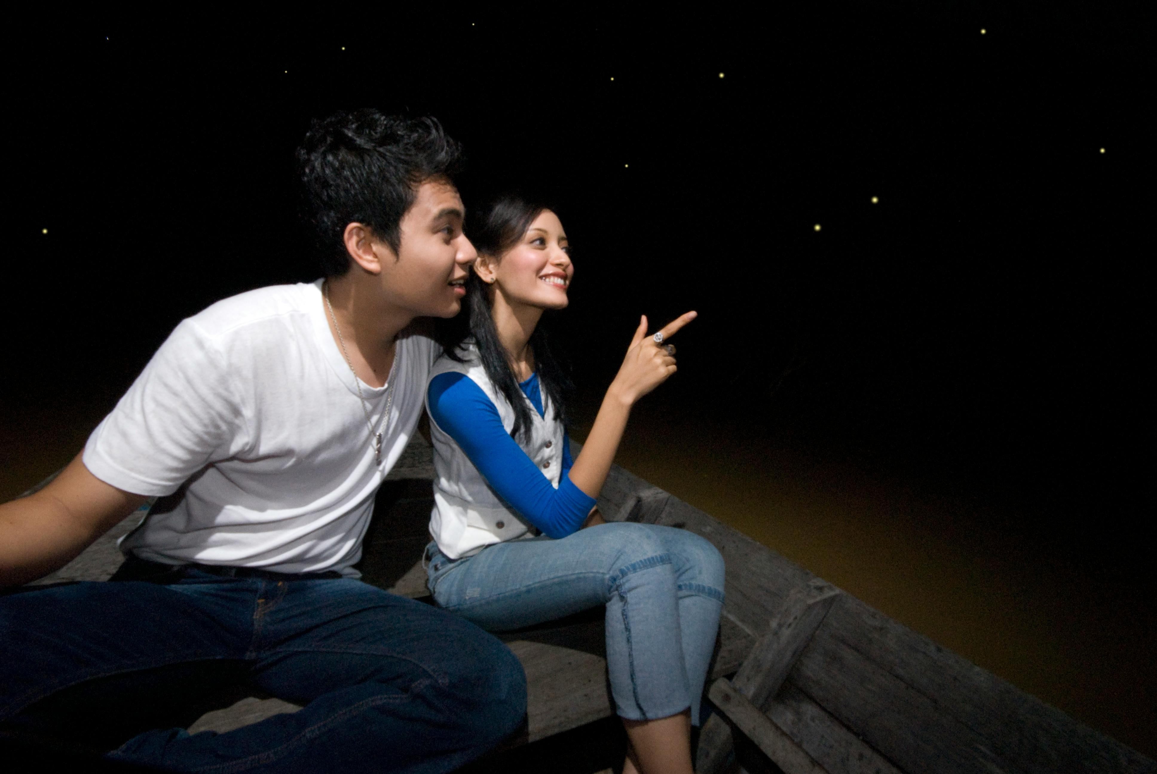 Kuala Selangor Fireflies and Blue Tears Guided Tour with Dinner - Photo 1 of 7
