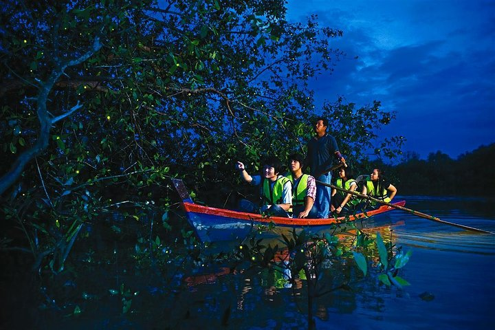Fireflies watching in a boat