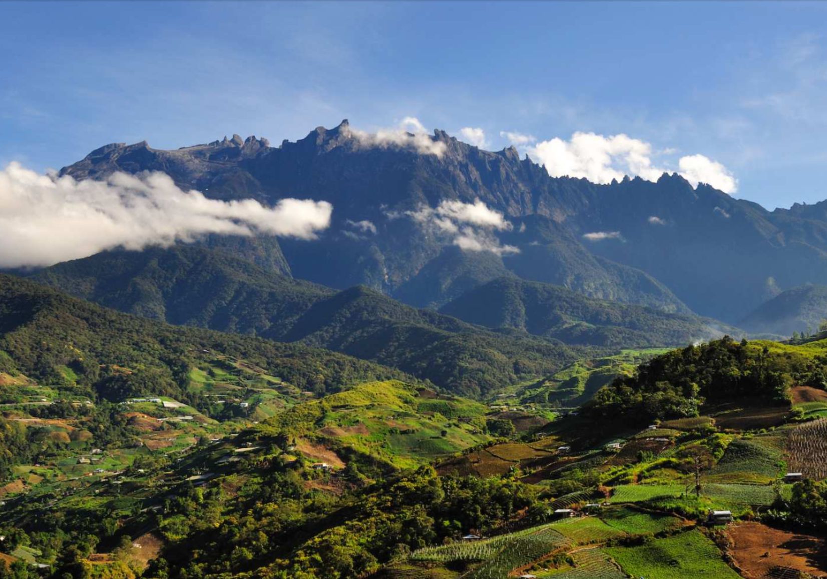 Xarkovda jinsiy aloqa xizmatlari uchun shaxsiy elonlar