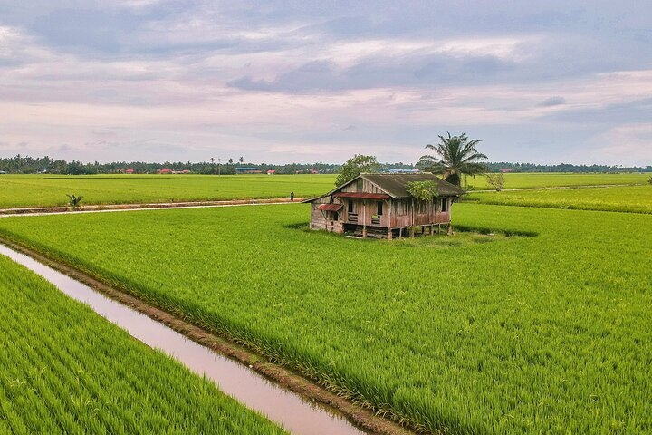 Paddy Field and Fishing Tour in Tanjong Karang - Photo 1 of 6