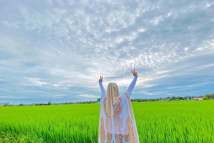Paddy Field Experience with Real Agricultural Activities - Photo 1 of 13