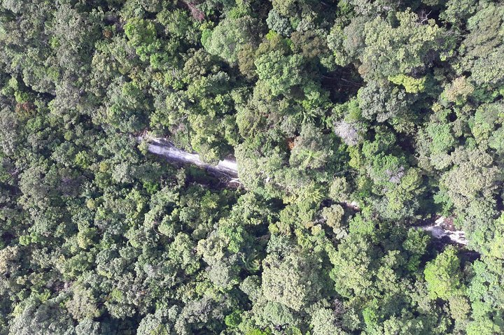 Slippy Slope Montane Stream Falls via A7 Kejapau Trek