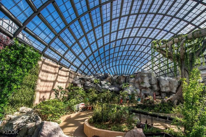 Entopia Butterfly Farm