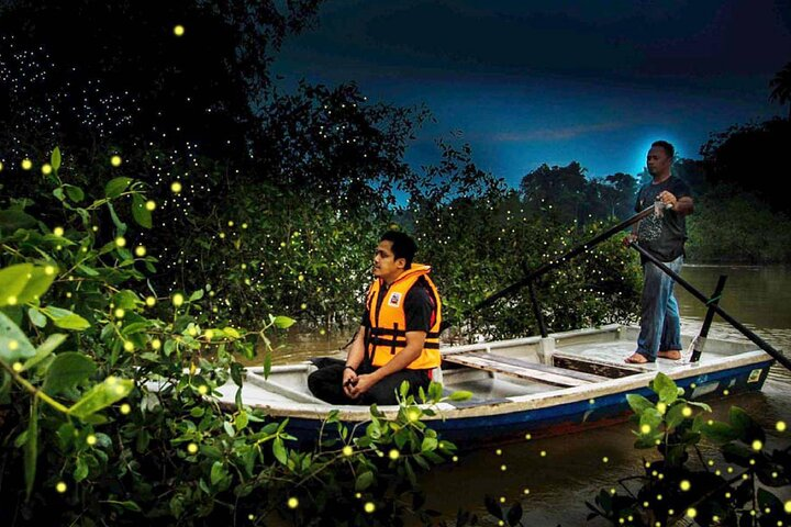 Private Kuala Lumpur Fairy Firefly And Monkey Hill Tour - Photo 1 of 13