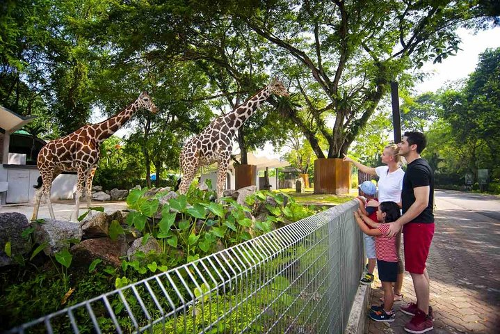 Private Tour to The Best of Animal Attractions in Kuala Lumpur - Photo 1 of 19