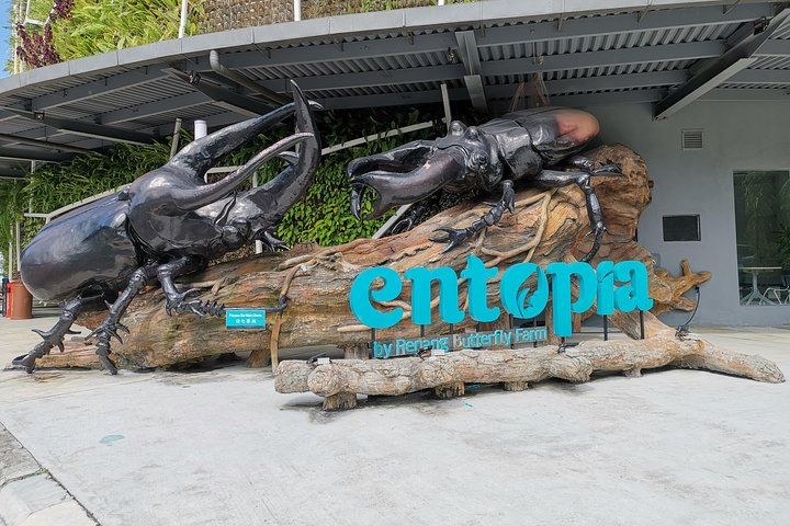 Explore nature's wonders at Penang's butterfly farm teeming with colorful species and immerse yourself in the artistry of batik making at one of the island's historic factories.