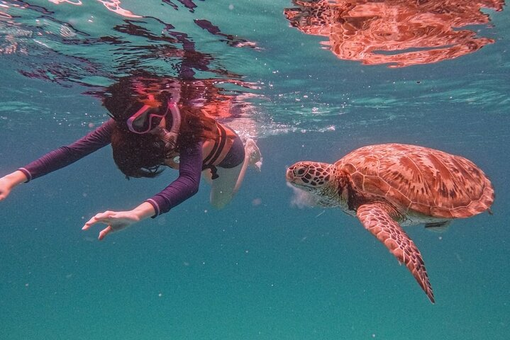 Pulau Redang Snorkeling and Island Hopping Full Day Tour - Photo 1 of 12