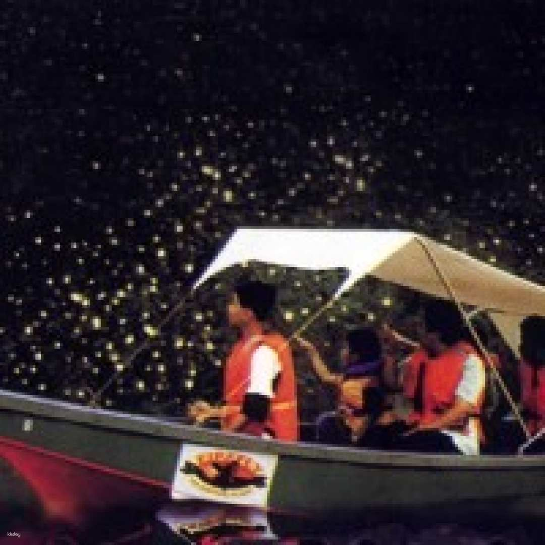 Tropical Christmas Tree Firefly Viewing Cruise Tour (Japanese-speaking guide and dinner included) - Photo 1 of 4