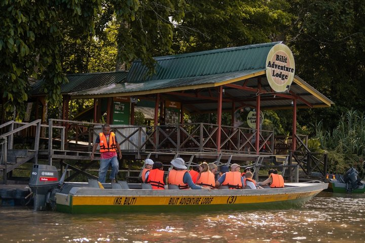 Kinabatangan Wildlife Cruise from Sandakan - Photo 1 of 7