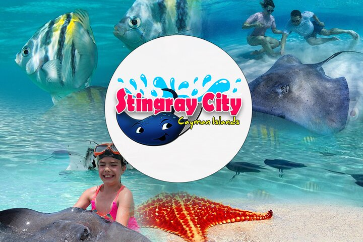 Stingray City in the Cayman Islands - book online at Viator