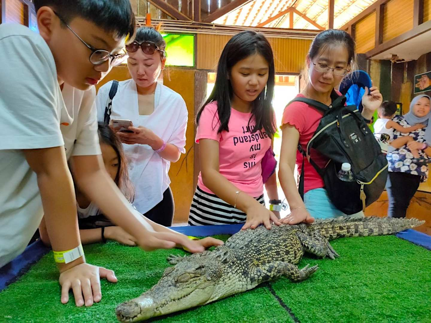 Experience hands-on learning at Taman Buaya & Rekreasi Melaka where visitors engage with unique crocodile species while enjoying animal interactions and a refreshing water playground nearby.