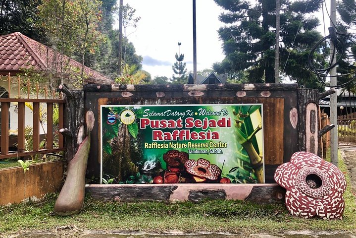 Tambunan Rafflesia Rainforest Reserve Tour from Kota Kinabalu - Photo 1 of 8