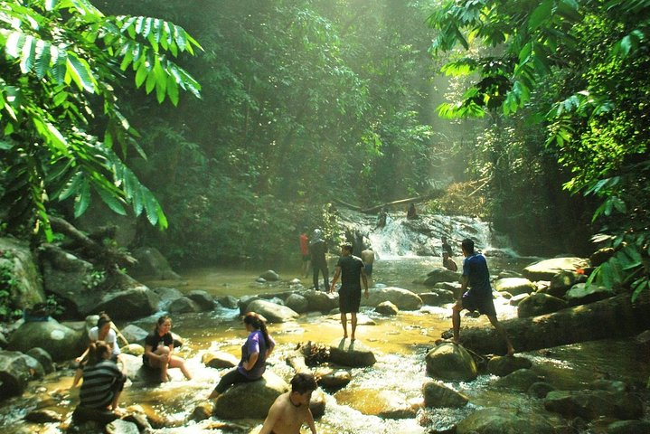 The Dusun : Jungle Trekking Adventure to Waterfall with Jungle Guide - Photo 1 of 10
