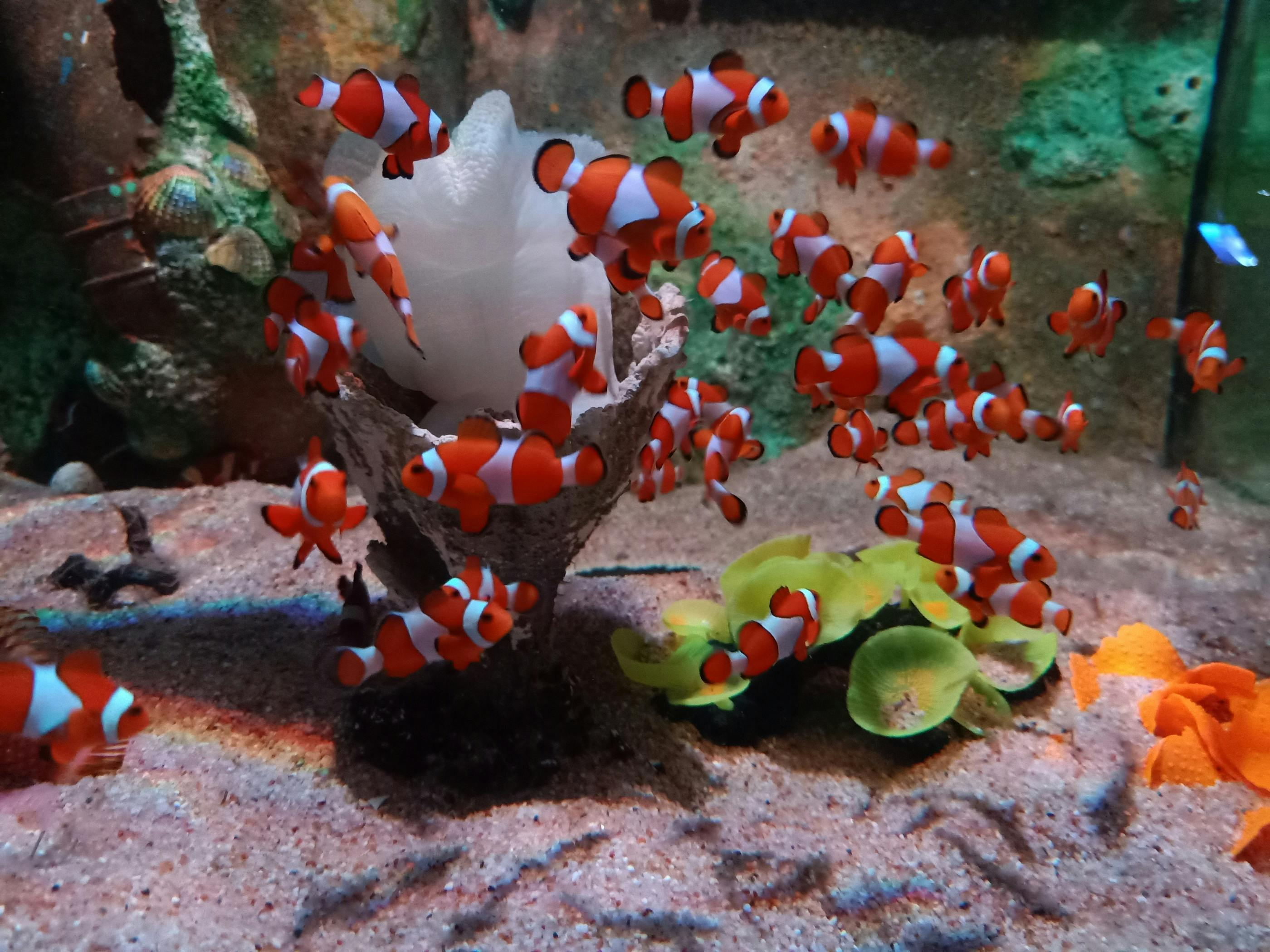 The TOP Penang Boutique Aquarium: Admission Ticket - Photo 1 of 6