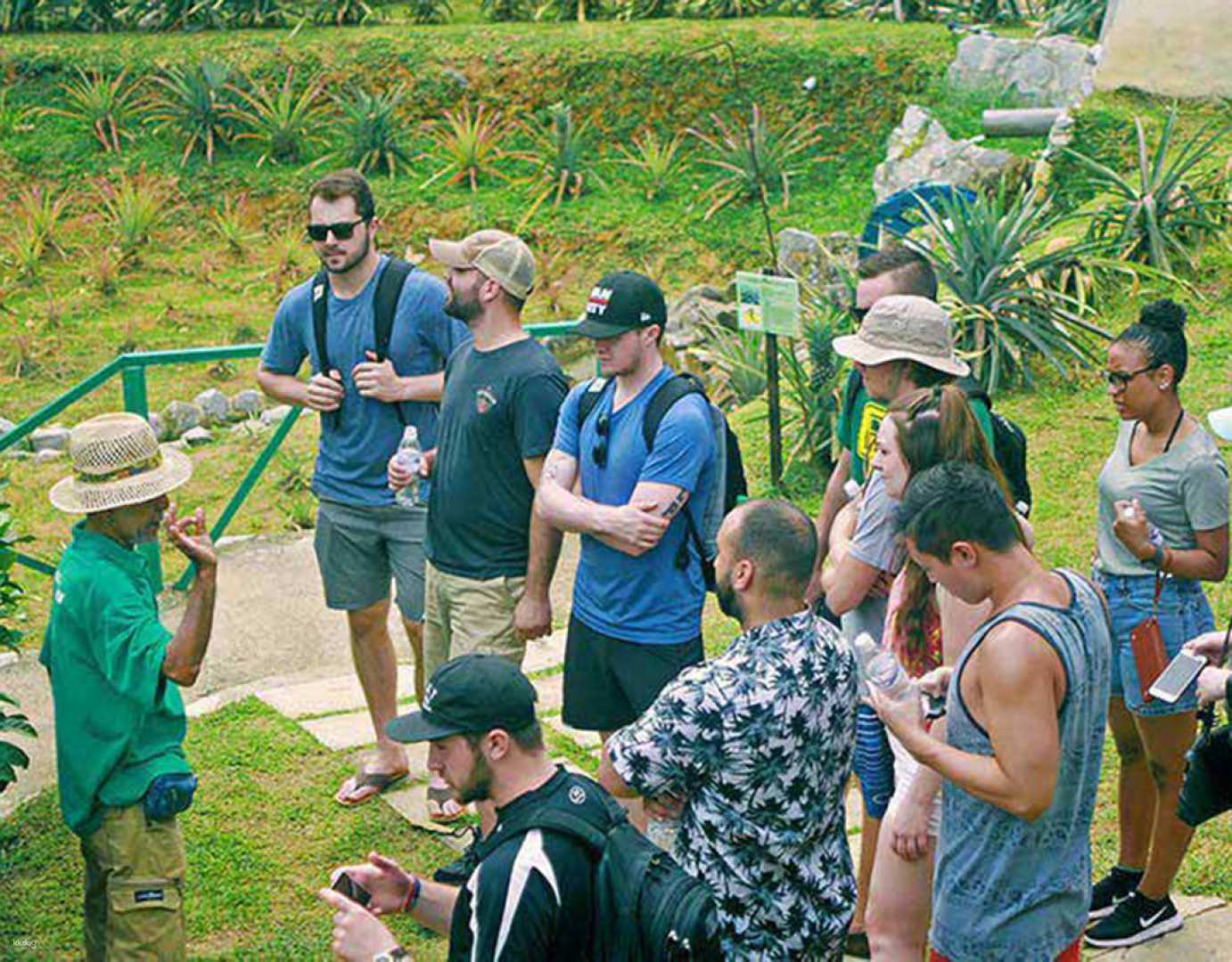 Discover the lush surroundings of Tropical Fruit Farm where curious travelers learn about rare fruits while enjoying the stunning landscapes of Penang's hilly terrain and organic farming practices.